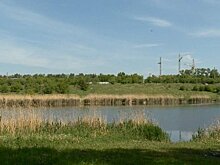 Лишь на одном пензенском пляже вода соответствует нормативам