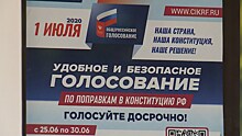 Как организован процесс голосования по поправкам в Конституцию на калининградских участках