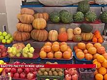 Минсельхоз России видит тенденцию к снижению цен у производителей продукции