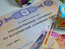В ЛДПР предложили разрешить перенаправлять маткапитал с накопительной пенсии на другие цели
