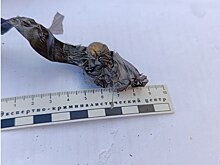 В Бугуруслане задержан мужчина с героином