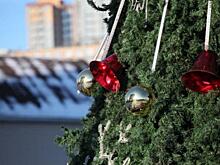 В Приморье рухнула елка