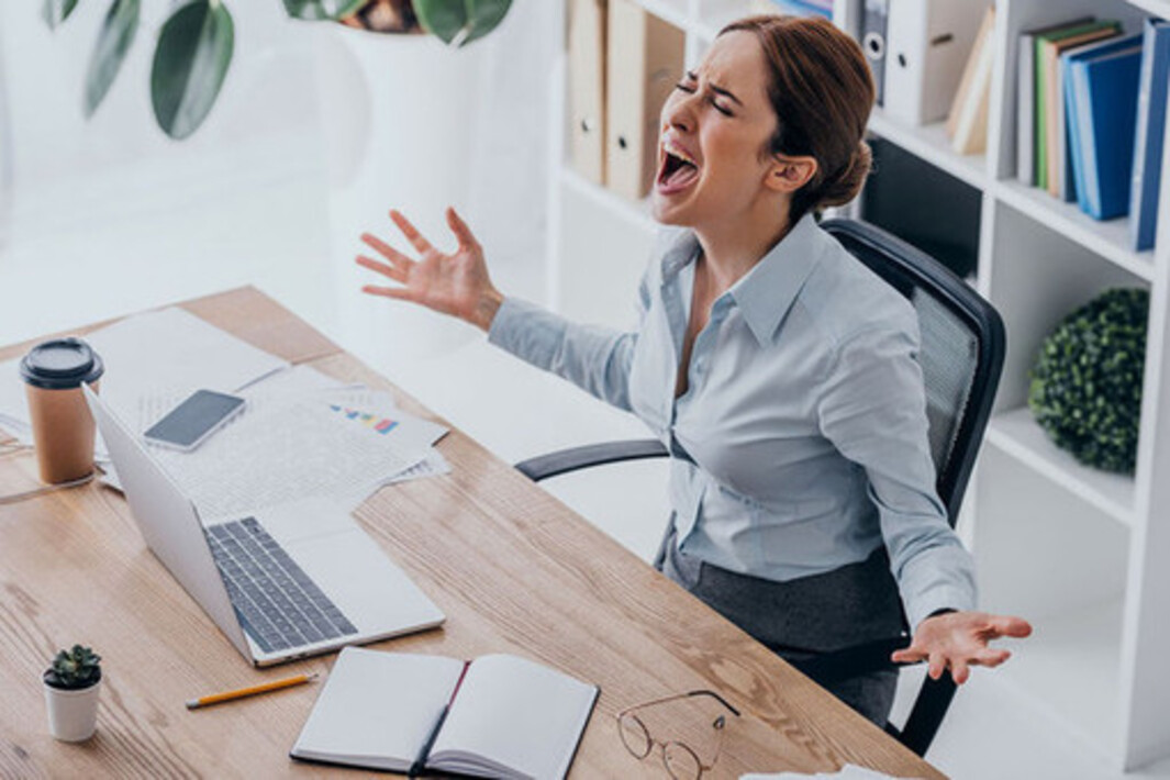 Бизнес команда. Работник и работодатель. Поделиться работой. Фотосессия коллег. Собеседование картинки.