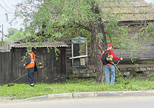 «Ждали школьников»: в Белогорске некому было косить траву