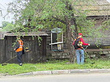 «Ждали школьников»: в Белогорске некому было косить траву