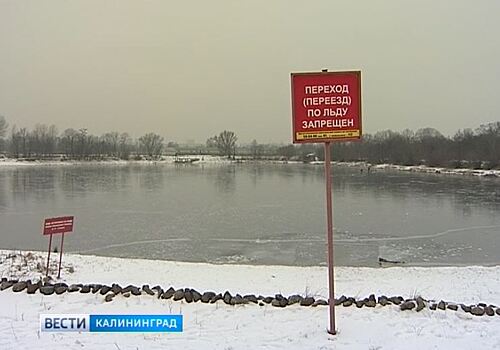 В Калининградской области ожидается потепление