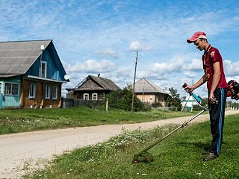 В России предложили изымать землю за мусор и высокую траву