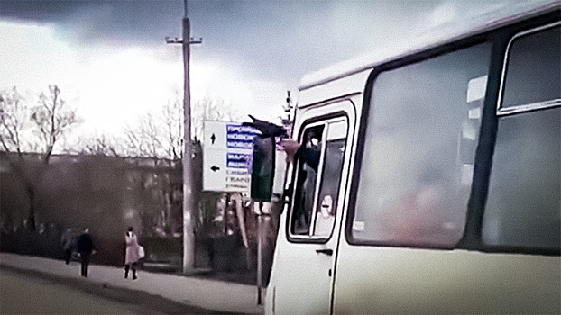 Ешь, птичка: найден самый добрый водитель автобуса