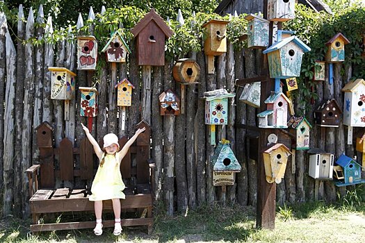 Павел Крашенинников: С 1 июня упростится оформление домов и дачных участков