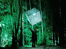 Потайные измерения, теория струн и Найк Борзов: все развлечения главного летнего фестиваля Signal