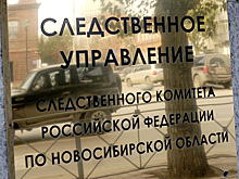 Хозяин лошади, убившей ребенка, пойдет под суд