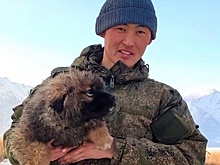 Самый известный чабан Бурятии Базар-Мунхэ Балдан будет разводить волкодавов