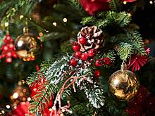 В Москве мусульманин попросил соседей убрать установленную в подъезде елку