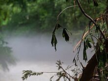 В Германии число погибших от наводнения достигло 156 человек