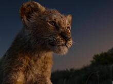 Творческое банкротство. Почему новый «Король лев» потерпел фиаско у критиков?