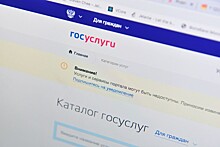 Минтранс РФ планирует продавать субсидируемые авиабилеты через госуслуги