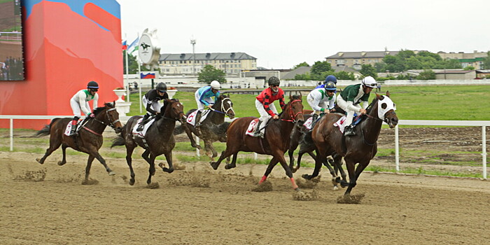 «Лошадь заменит четыре жены»: как Нальчик стал центром конного спорта России?