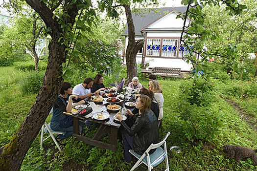 Названы подмосковные районы с самыми дешевыми дачами