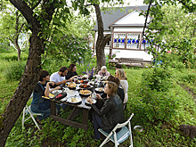 Названы подмосковные районы с самыми дешевыми дачами