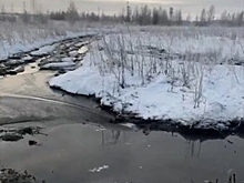 Под Новосибирском обнаружили место незаконного слива фекалий