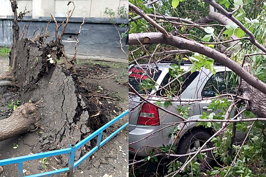 В Челябинске ураганный ветер повалил деревья на Кирова