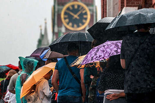 Гидрометцентр: в Москве 2 октября будет облачно, местами пройдет дождь
