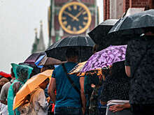 Гидрометцентр: в Москве 2 октября будет облачно, местами пройдет дождь