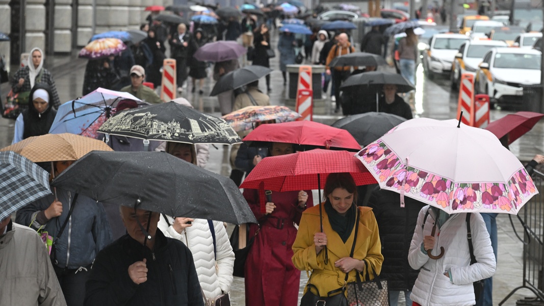 Синоптик предупредил о продолжении дождей в Москве и Санкт-Петербурге