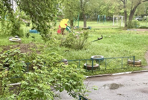 Омичей призвали убрать клумбы из покрышек - за нарушение грозят штрафами до четверти миллиона