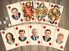 Четыре масти новосибирской власти. Часть 1. Бубны