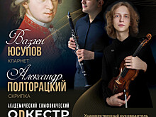 Музыканты из Санкт-Петербурга и Тамбова исполнят в Мичуринске произведения Моцарта