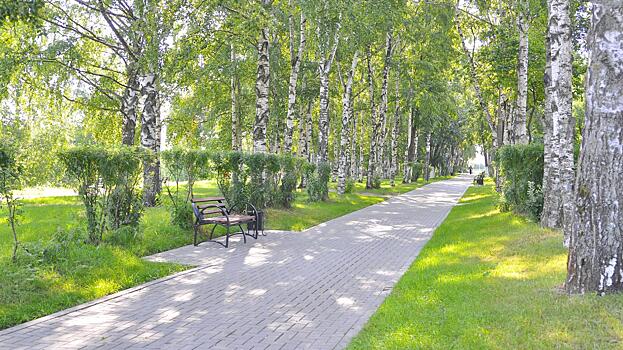 Более 45 миллионов выделено на создание восьми бронзовых скульптур в Вологде