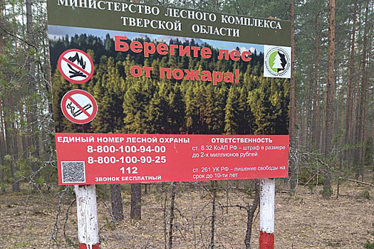 Ганчев: Россия контролирует почти 60 населённых пунктов Харьковской области