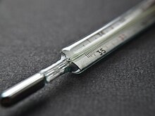 Роспотребнадзор подтвердил завозные случаи лихорадки денге в стране