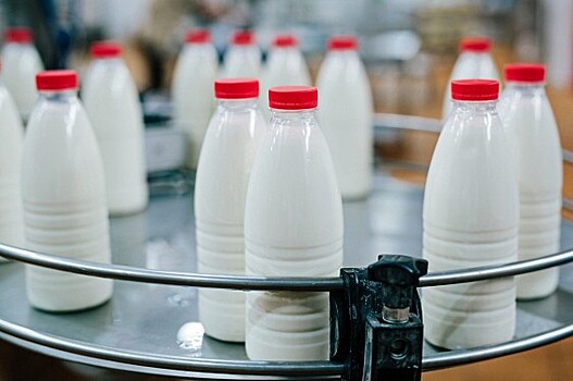 В России выявили «молочную мафию»