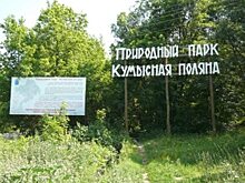 Ольга Пицунова: Открытое письмо в защиту природного парка «Кумысная поляна» и экологических прав жителей Саратова