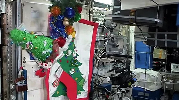 На МКС нарядили новогоднюю елку