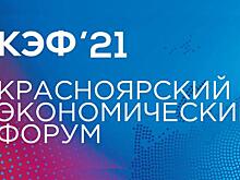 На КЭФ объявят о создании в Красноярском крае уникального углеродного полигона