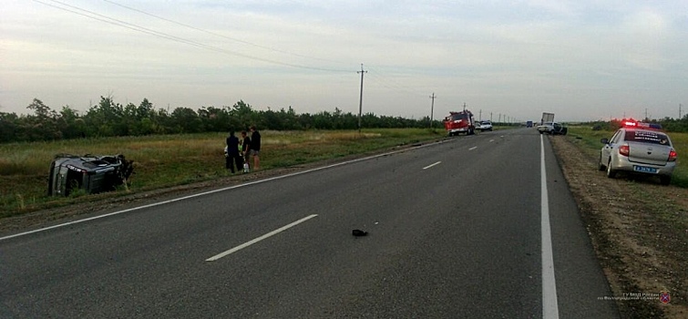 Один человек погиб и четверо пострадали в результате ДТП с лосем на трассе под Волгоградом