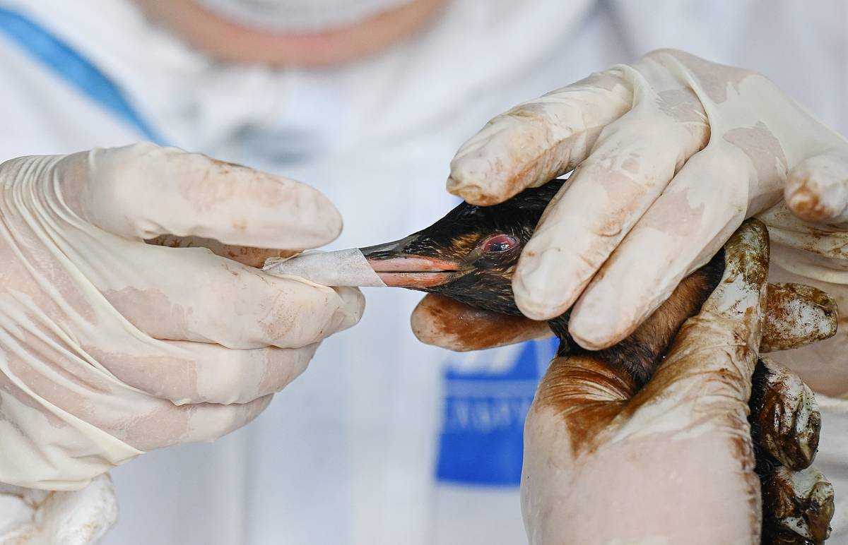 �����&nbsp; ������� � ���������� � �������������� ���� ����� � �����