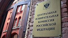 ЦИК направила Баташеву и Русских извещения о недостатках в их документах