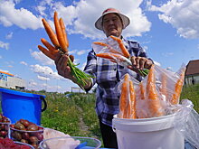 Почему на прилавки сетевых магазинов не "пускают" продукцию фермеров
