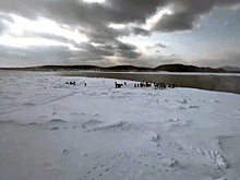 На Сахалине оторвало от берега льдину с 300 рыбаками