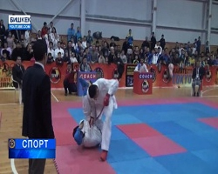 Башкирские каратисты стали призёрами международного турнира в Киргизии