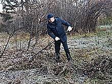 Мусорная концессия в Новосибирске меняет концепцию