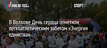 Сотрудники следственного управления приняли участие спортивных мероприятиях «Челябинский марафон», «Уфимский марафон», «Осенний трейл»