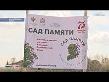 5 тысяч сосен высадили в Самарской области