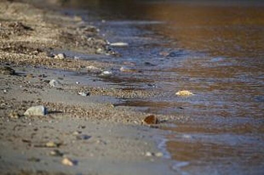 Еще три пляжа для купания открыли в Новосибирской области