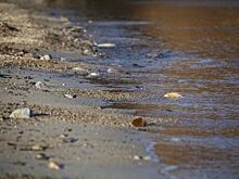 Еще три пляжа для купания открыли в Новосибирской области