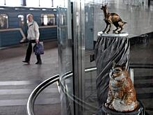 Выставка об истории мундиаля открылась на станции метро «Воробьевы горы»